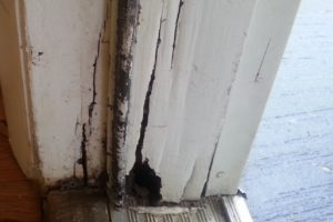 Can You Repair Wood Rot Without Replacing Wood?