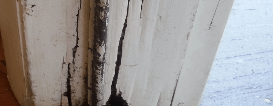 Can You Repair Wood Rot Without Replacing Wood?