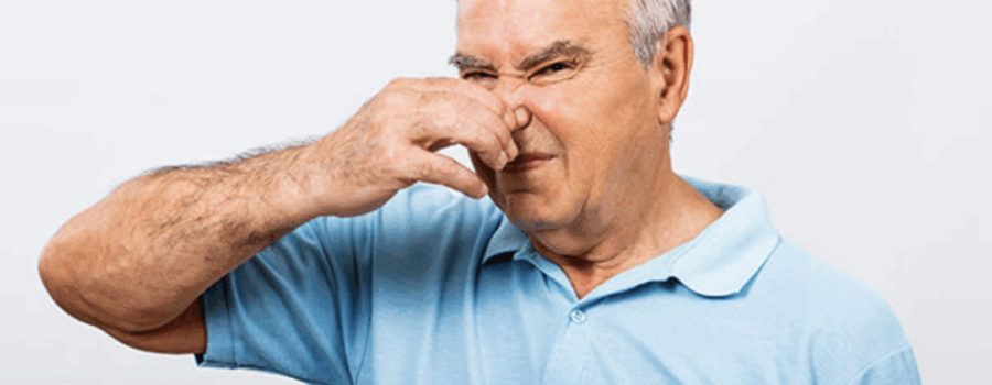 Why Does My House Smell Musty? 7 Hidden Causes & How to Fix Them Fast