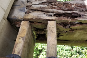 How to Tell If Wood Rot Is Structural (Cincinnati & Hamilton Homeowner Guide)