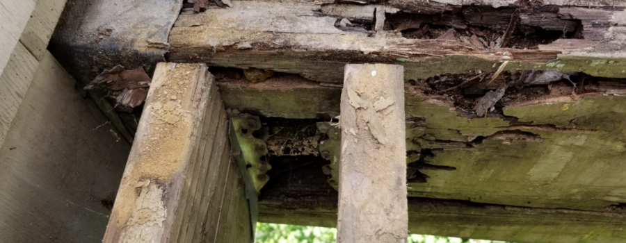 How to Tell If Wood Rot Is Structural (Cincinnati & Hamilton Homeowner Guide)