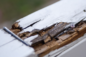 Wood Rot Repair FAQs: Answers for Cincinnati & Hamilton Homeowners