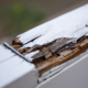 Deck Repair in Cincinnati, OH: The Complete Homeowner Guide to Safe, Long-Lasting Decks