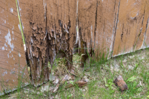 Wood Rot Repair in Fairfield, OH: Frequently Asked Questions