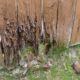 Wood Rot Repair in Fairfield, OH: Frequently Asked Questions