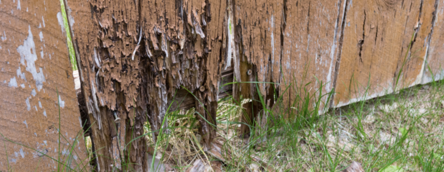 Wood Rot Repair in Fairfield, OH: Frequently Asked Questions