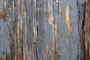 Wood Rot Repair in Hamilton, OH: Common Questions Homeowners Ask
