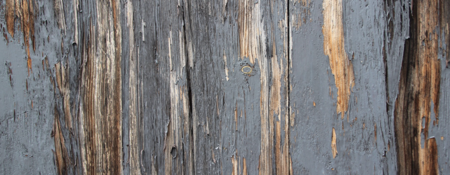 Wood Rot Repair in Hamilton, OH: Common Questions Homeowners Ask