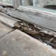 Wood Rot Repair in West Chester, OH: FAQ for Homeowners