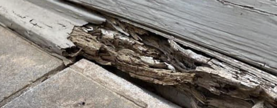 Wood Rot Repair in West Chester, OH: FAQ for Homeowners