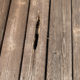 Wood Rot Repair in Mason, OH: What Homeowners Need to Know