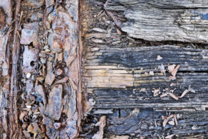 Wood Rot Repair in Blue Ash, OH: Homeowner FAQ Guide