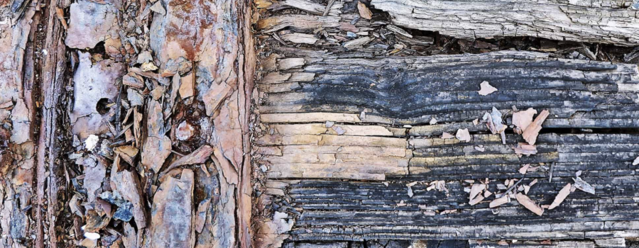 Wood Rot Repair in Blue Ash, OH: Homeowner FAQ Guide